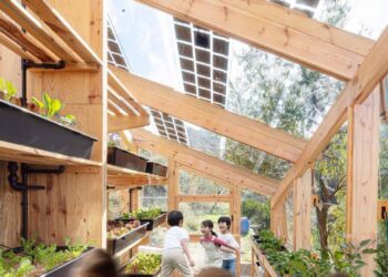 У Бучі з’явиться екоклас у парку Диво – деталі проєкту | ПРО ГОЛОВНЕ