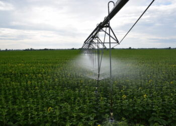 У Київському кластері розщирять поливні площі на 20%