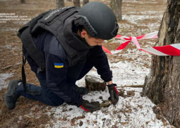 В Ірпінському лісі знайшли небезпечний боєприпас