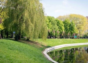 За 10 років площа парків Києва зросла на 637 га | ПРО ГОЛОВНЕ
