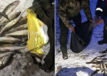 Завдав збитків майже на 180 тис грн: на Київському водосховищі виявили порушника