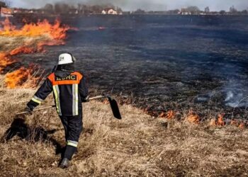16 га трав’яного настилу горіло на Київщині попередньої доби