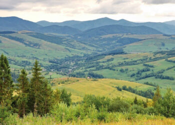 Індустріальний парк Карпати створять у селищі Чинадієво Мукачівського району Економіка