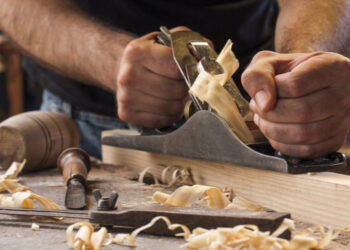 На Закарпатті створять індустріальний парк у сфері деревообробки Економіка