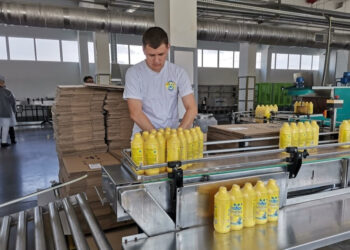 Стартова ціна за виробника Вухустика становитиме 301 млн грн Економіка