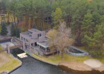 Донька лідера забороненої ОПЗЖ Бойка купила на Київщині маєток