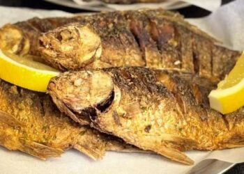 У столичному фастфуді подають смажених карасів – Економіка