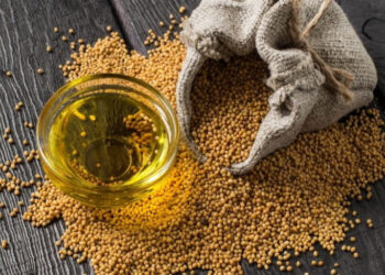 Астарта збудує завод з переробки олійних культур за $76 млн Економіка