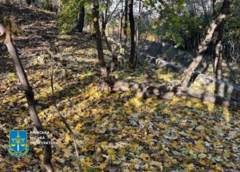 На Батиєвій горі планували побудувати ЖК – справу передано до суду | ПРО ГОЛОВНЕ