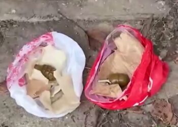 На Білоцерківщині чоловік збував бойові припаси