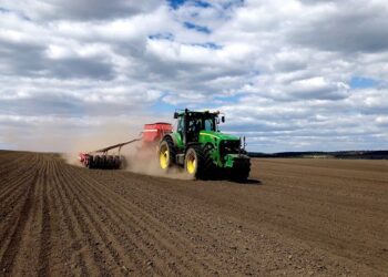На Білоцерківщині стартували весняно-польові роботи: озимі перезимували успішно