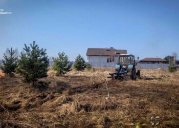 На Київщині через підпал сухостою ледь не загинули діти