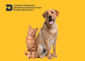 На Київщині щепитимуть домашніх улюбленців від сказу: графік