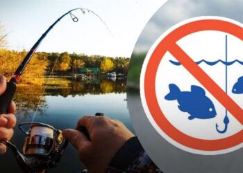 На Київщині з  квітня починається нерестова заборона: визначено місця