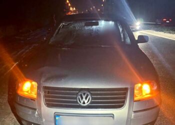 П’яний водій спричинив смертельну ДТП на Фастівщині