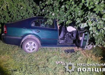 Смертельна ДТП на Київщині: винуватця засуджено до 7 років позбавлення волі