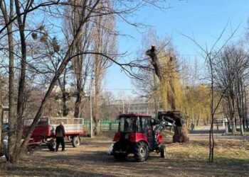 У Фастові пройшла загальноміська толока
