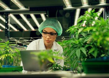 В Україні запустили електронну систему “єКоноплі”