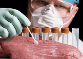 Вперше за багато років у Білій Церкві виявили випадок трихінельозу