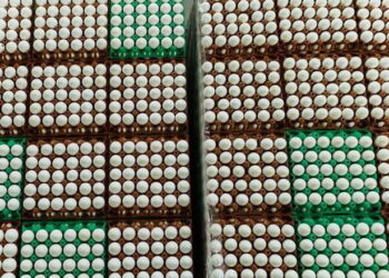 У топі покупців українських яєць ‒ три країни Європи – Економіка