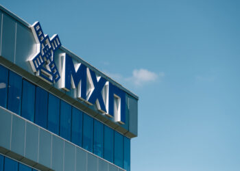 МХП у 2024 році придбала чотири компанії в Україні та за кордоном за $40,9 млн Економіка