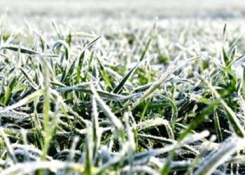 9 квітня на Київщині зафіксували нові температурні рекорди