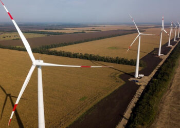 Власник автозаправок ОККО залучив €157 млн для будівництва ВЕС на Волині Економіка