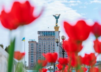 Де в Києві цвітуть тюльпани — повний список локацій | ПРО ГОЛОВНЕ