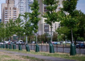 Екоініціативи Києва — де почитати про дощові садки і будиночки для комах | ПРО ГОЛОВНЕ