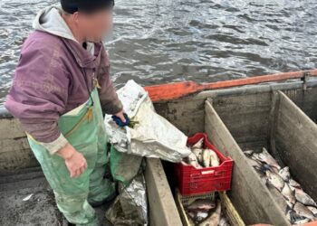 Екоінспекція зафіксувала порушення на Канівському водосховищі