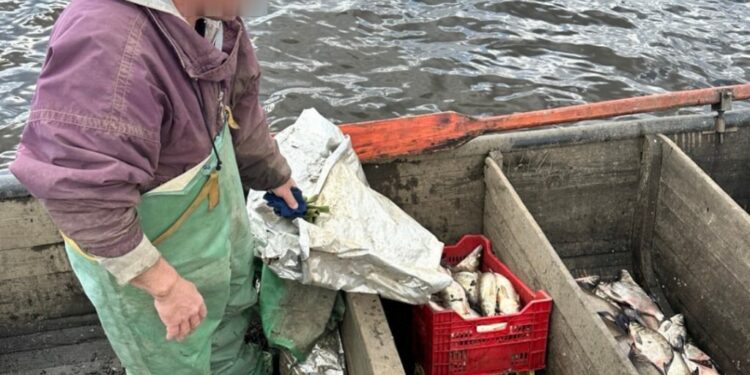 Екоінспекція зафіксувала порушення на Канівському водосховищі