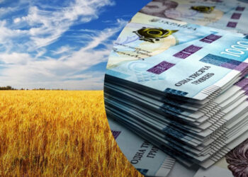 Президент підписав закон про посилення захисту інвесторів у держактиви та землю Економіка