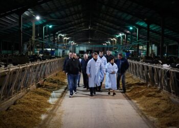 На Київщині планують запустити біогазове виробництво