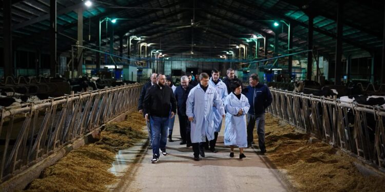 На Київщині планують запустити біогазове виробництво