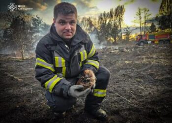 На Вишгородщині рятувальники врятували з вогню їжачка