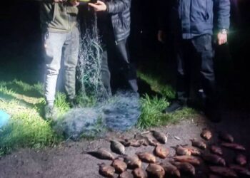 Незаконно виловив риби майже на 70 тисяч гривень: поліцейські Київщини задокументували браконьєра