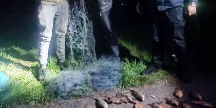Незаконно виловив риби майже на 70 тисяч гривень: поліцейські Київщини задокументували браконьєра
