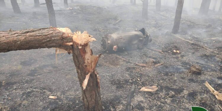 Понад 40 гектарів лісу пошкоджено на Київщині внаслідок масованих атак