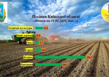 Посівна кампанія на Київщині триває