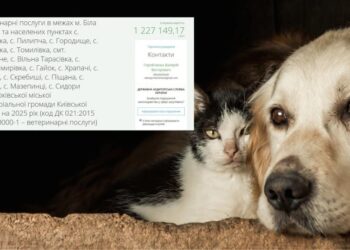 У Білоцерківській громаді виділили майже 800 тис. грн на ветеринарні послуги