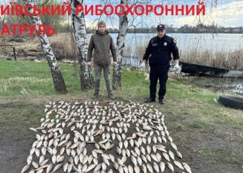 У Білоцерківському районі виявили порушника з уловом на понад 700 тис грн