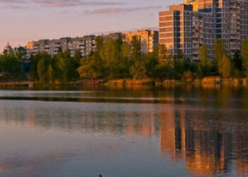 У Київ Цифровий додали сервіс для адопції тварин | ПРО ГОЛОВНЕ