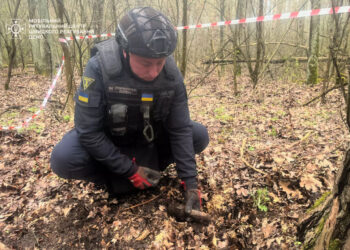 У лісі на Бучанщині знайшли ручну гранату