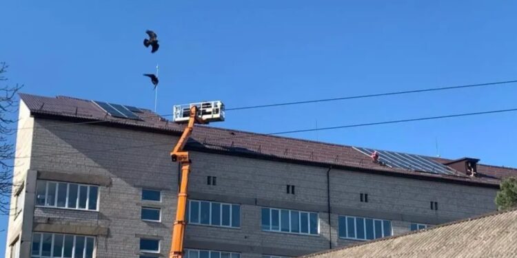 У Макарівській лікарні  встановлюють сонячну електростанцію