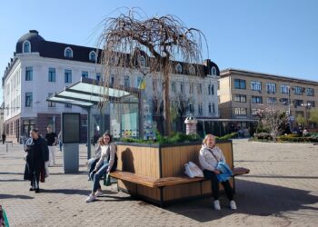 У Вінниці встановлюють великі кашпо з деревами біля зупинок | ПРО ГОЛОВНЕ
