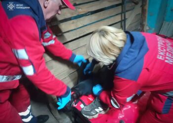 Впав у яму та напоровся на штир: рятувальники допомогли чоловіку на Фастівщині