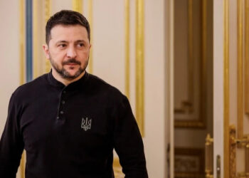 Зеленський підписав закон, що дозволяє залишати незаконно відчужені землі