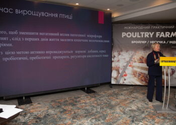 На Міжнародному форумі Poultry Farming розкажуть, як ефективніше вирощувати птицю – Економіка