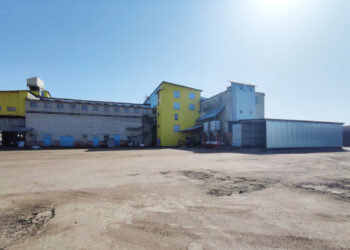 На Чернігівщині виставлено на продаж млинзавод 130 тонн на добу і елеваторний комплекс Економіка