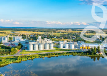 Оліяр інвестує у будівництво нової птахофабрики у Львівській області на 2,3 млн курей Економіка